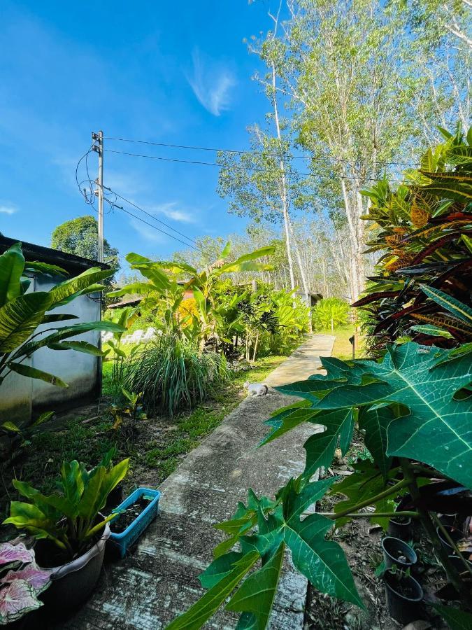 Lok Mun Bungalows Koh Yao Yai Eksteriør billede